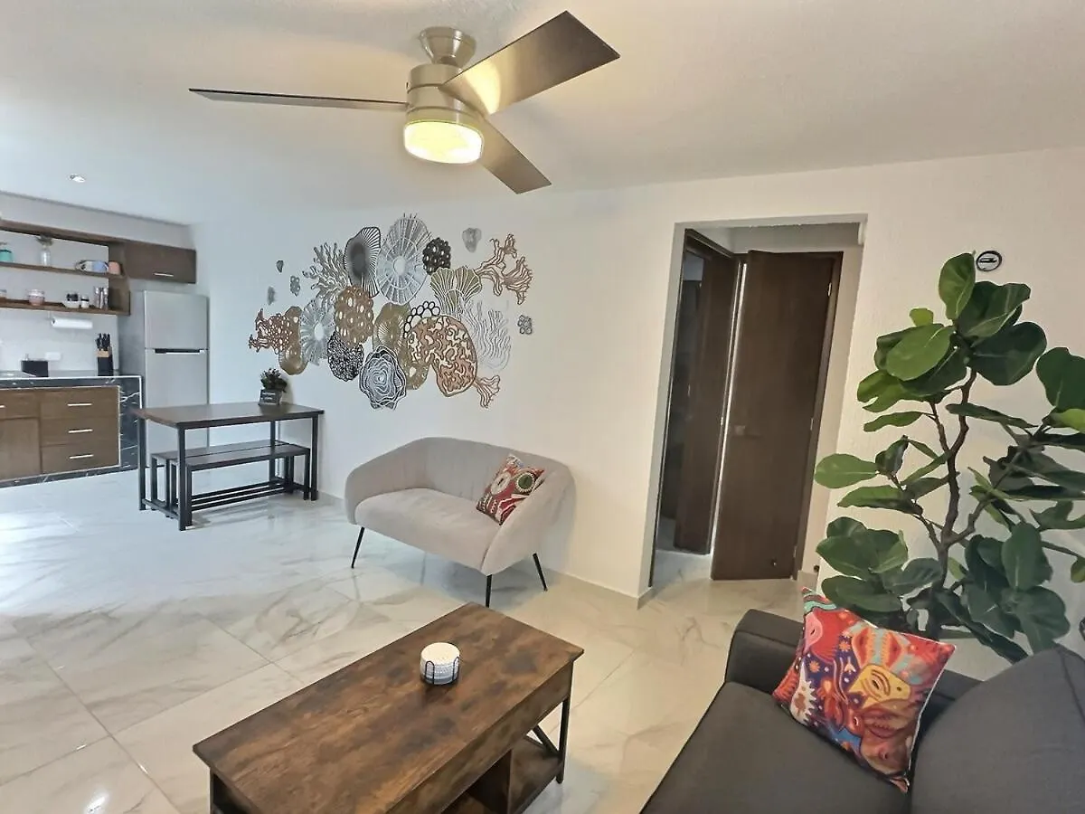 Newly Renovated & Furnished Apartment Cozumel Mexico